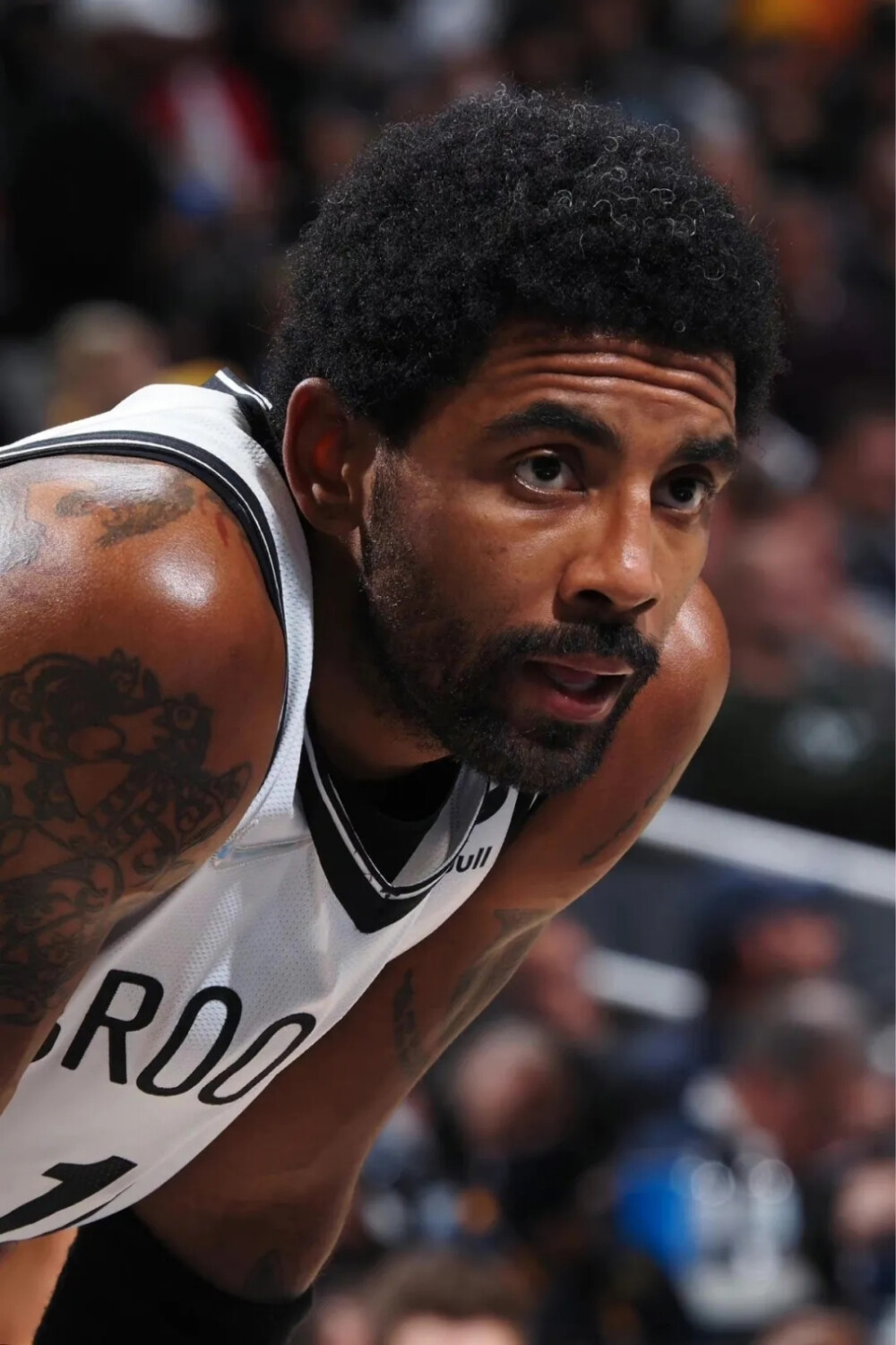 同时也展示 同时也展示